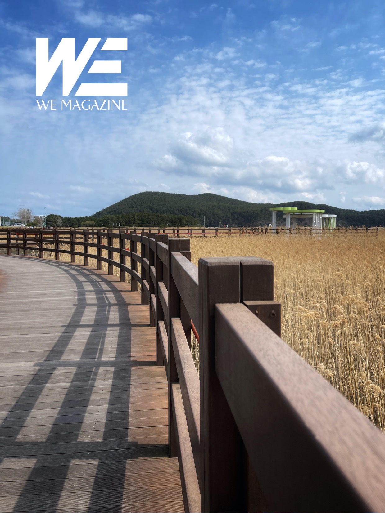 2024年5月刊