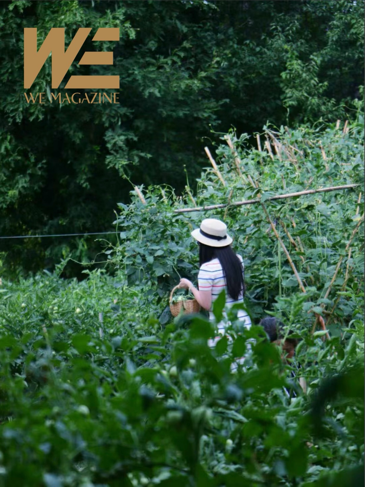 2025年6月刊